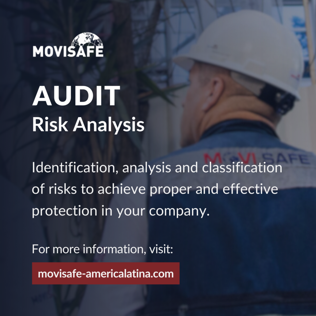 Audit and risk analysis for companies